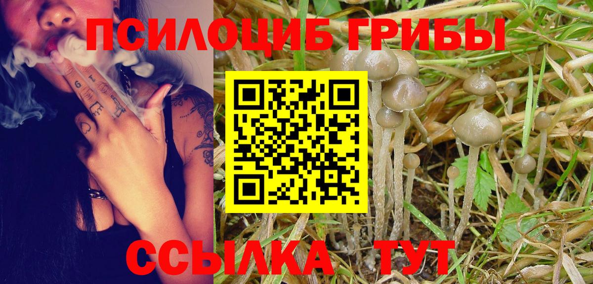 Галлюциногенные грибы мухоморы Малоярославец