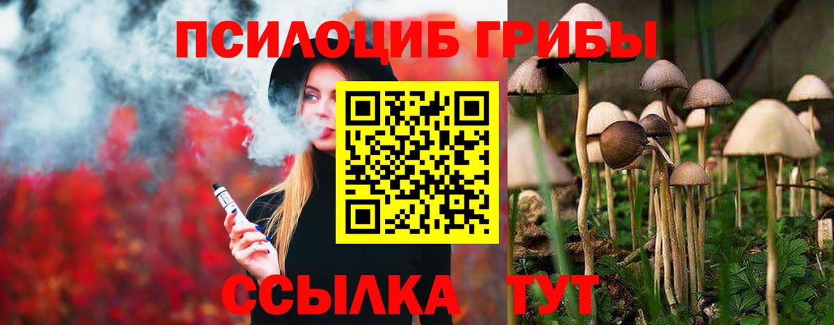 Галлюциногенные грибы Magic Shrooms  Вход с VPN  Малоярославец 